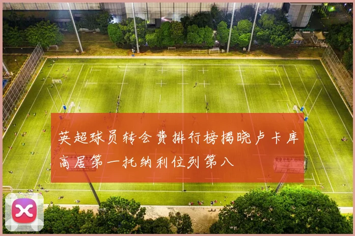 英超球员转会费排行榜揭晓卢卡库高居第一托纳利位列第八