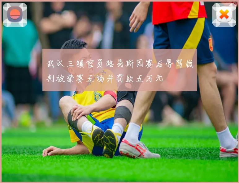 武汉三镇官员路易斯因赛后辱骂裁判被禁赛五场并罚款五万元