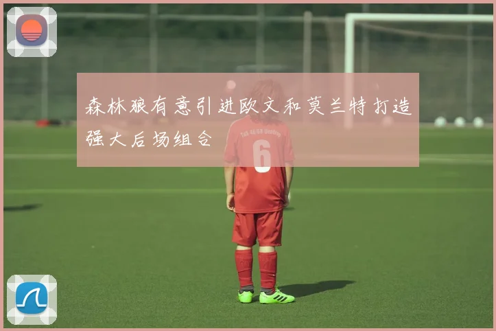 森林狼有意引进欧文和莫兰特打造强大后场组合