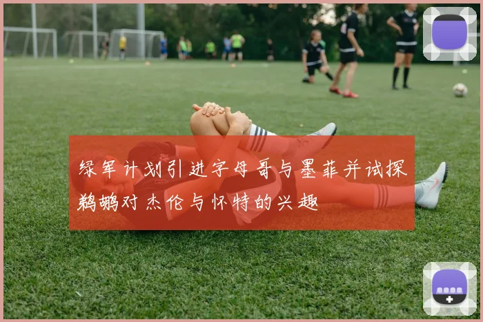 绿军计划引进字母哥与墨菲并试探鹈鹕对杰伦与怀特的兴趣